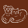 Compassionate Care Veterinary Hospital of Manlius - Dr. J Endres