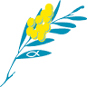 Compassionate Funerals Queensland