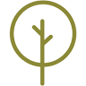 Composantes de bois