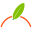 Naranjas Senent