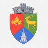 Primăria comunei Comăna