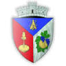 Primăria Doclin