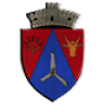 POLIŢIA COCHIRLEANCA