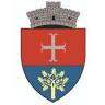 Townhall Danesti