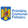 Primăria Feleacu