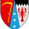 Primăria Todireni
