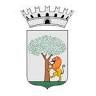 Noci