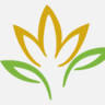 Concilio - Beauty & Wellness Concept