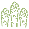 Condin Spargel / Asparagi