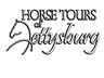 Victorian Carriage Company Guided Battlefield Tours