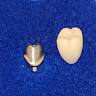 Connecticut Dental Group- M. Azar DDS