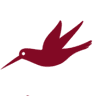 Consorzio Colibrì
