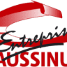 CAUSSINUS ENTREPRISE