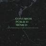 Contador Público México