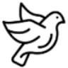 Puas para palomas