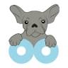 Coopercity Mascotas