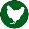 Copia Farm