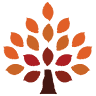 Copper Beech Cleaning