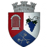 Copșa Mică