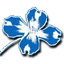 Cordova Dental