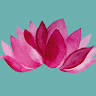 Dr Coreena Willoughby (TCM) Registered Acupuncturist Traditional Chinese Medicine