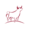 The Corner Butcher Shop