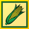 CornFun Corn Maze Adventure And Pumpkin Patch