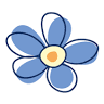 Cornish Blooms Flowers by Post