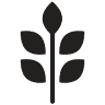 Cornucopia Health Foods