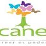 Corporación CANE