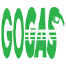 Gasolinera Manantial E05993