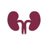 Corpus Christi Urology Group