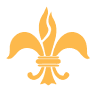SC . Corviniana SRL
