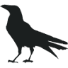 Corvus Coffee Roasters