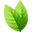 Coşar Baharat