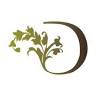 Design Works A Floral Studio