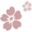 The Cosmetic Laser and Skin Cancer Clinic