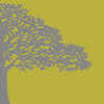 Eventos Artesanos