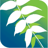 Costata Landscape Design