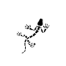 Cotriero
