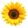 Cotswold Beauty | Mobile Beauty Therapist