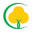 Cottonking Lalbaug