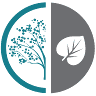 Cottonwood Dental