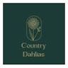 Country Dahlias