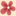 County Flowers