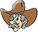 Cowboy Guns and Gear