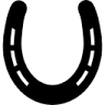Cowboy Up Trail Riding