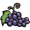 Cozy Grape