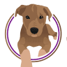 CPAs for Veterinarians/JF Bell Group