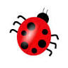 www.craftybug.co.uk